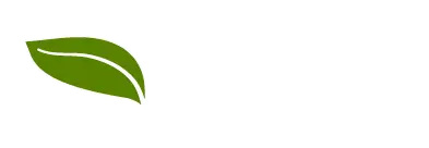 Ayurveda Online Magazin