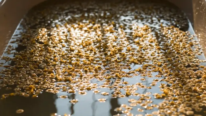 Heublumenbad zur Geburtsvorbereitung