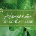 Ashwangandha