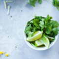 Kleine Schale mit Koriander und Limette