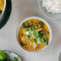 Kühlendes Kokosnuss-Curry für den Pitta Dosha Typ
