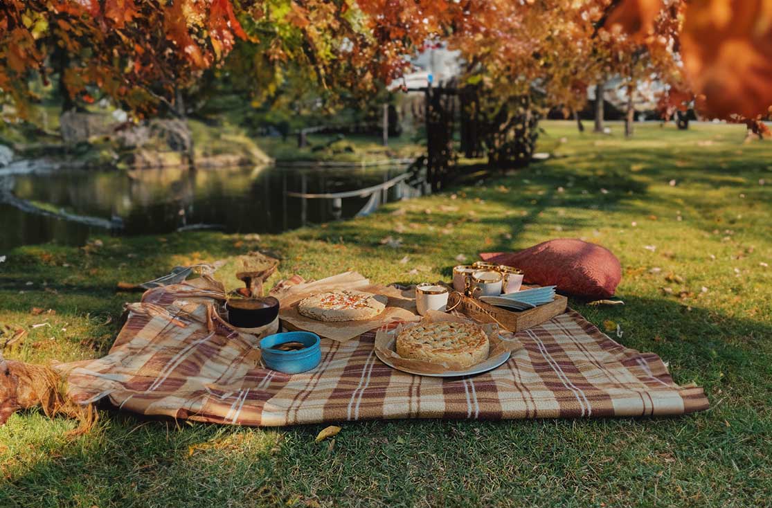 Picknickdecke mit leckeren Speisen draußen an einem See im Wald