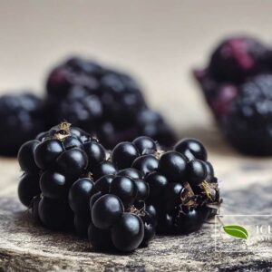 Schwarze Früchte einer borstigen Taigawurzel