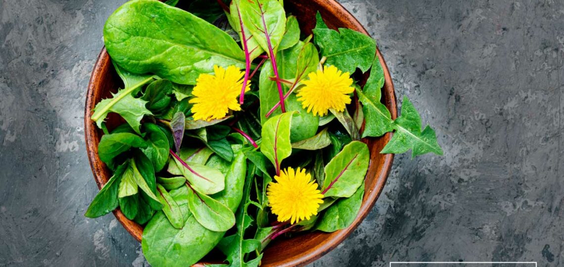 Ein Frühlings-Löwenzahn Salat