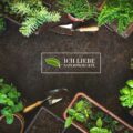 Kräutergarten von oben mit unterschiedlichen Kräutern