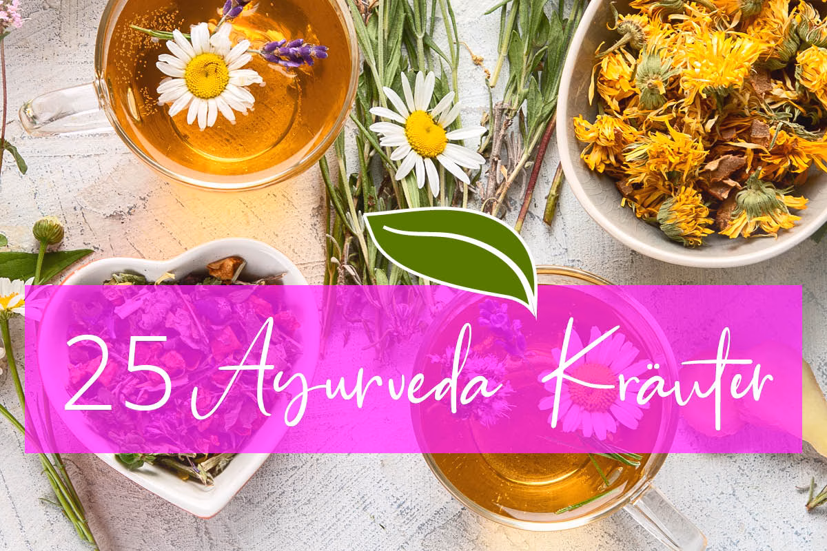 25 Ayurveda Kräuter für Gesundheit & weibliches Wohlbefinden