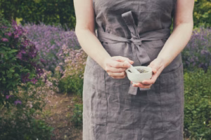 Frauenkraut im Ayurveda – Ein Schlüssel zur weiblichen Balance