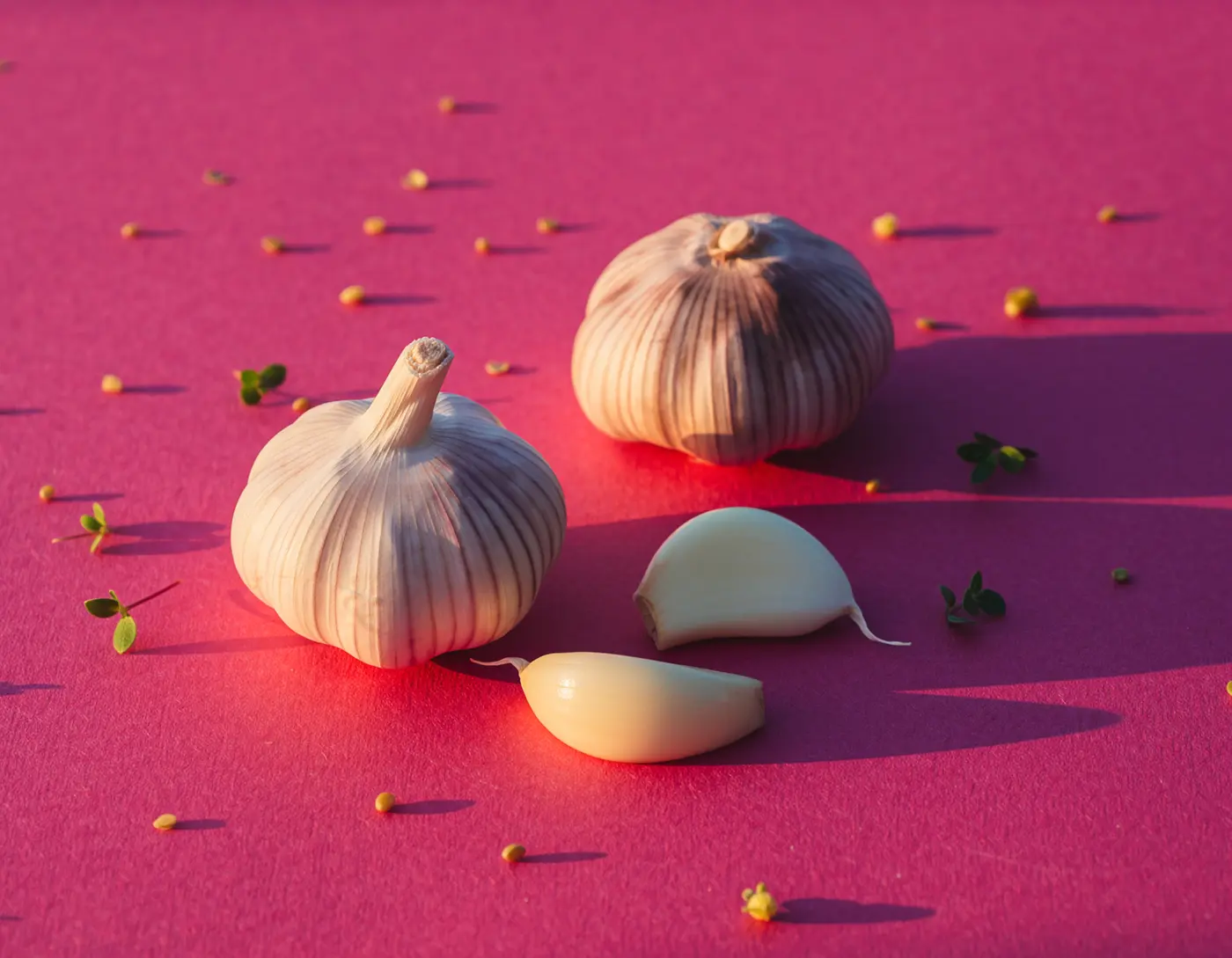 Knoblauch als Antibiotika – Natürliche Hilfe bei Infektionen